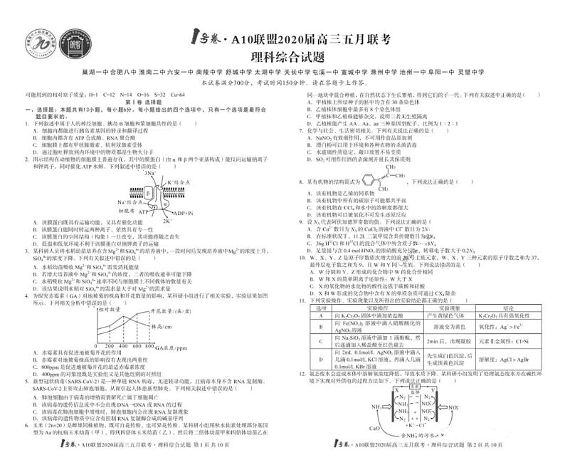 1号卷A10联盟2020届高三5月联考理综试卷+答案01