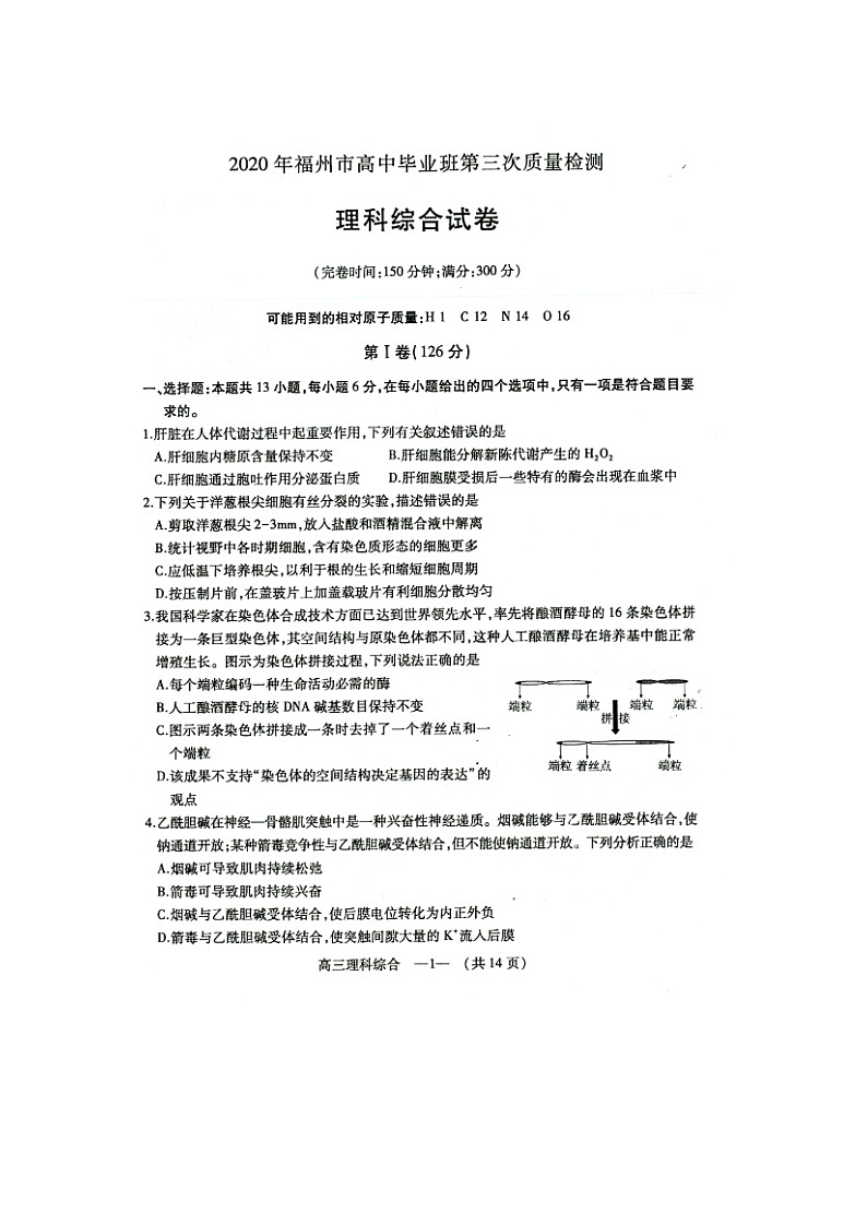 理科综合试题第1页