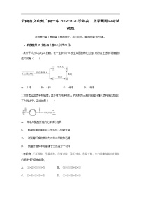 云南省文山州广南一中2019-2020学年高二上学期期中考试化学试题化学