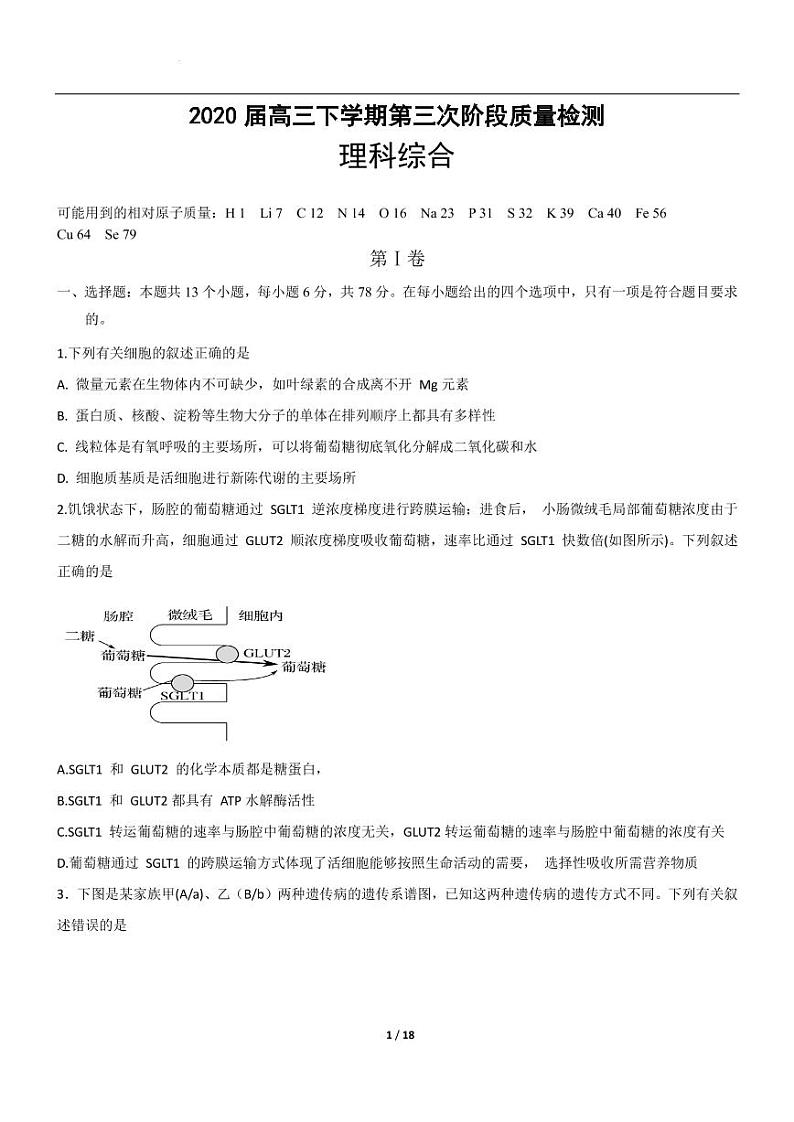 2020届高三-河北省石家庄市重点高中阶段质量检测 理科综合试题（PDF版）01