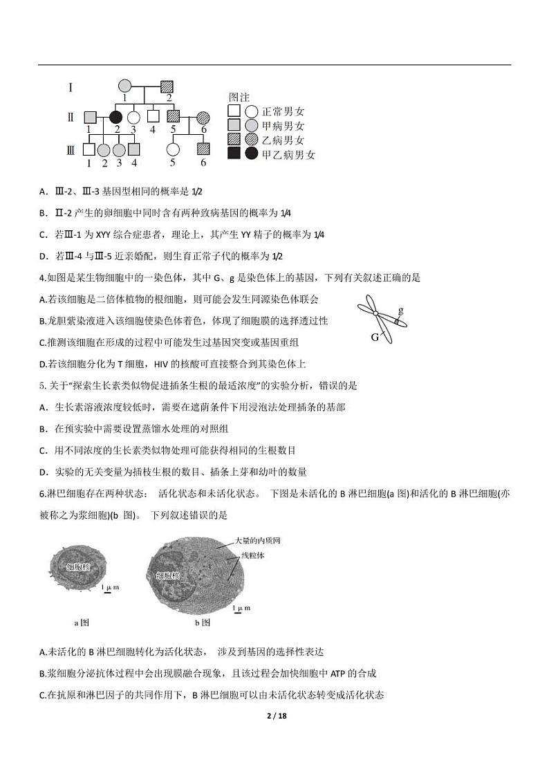 2020届高三-河北省石家庄市重点高中阶段质量检测 理科综合试题（PDF版）02