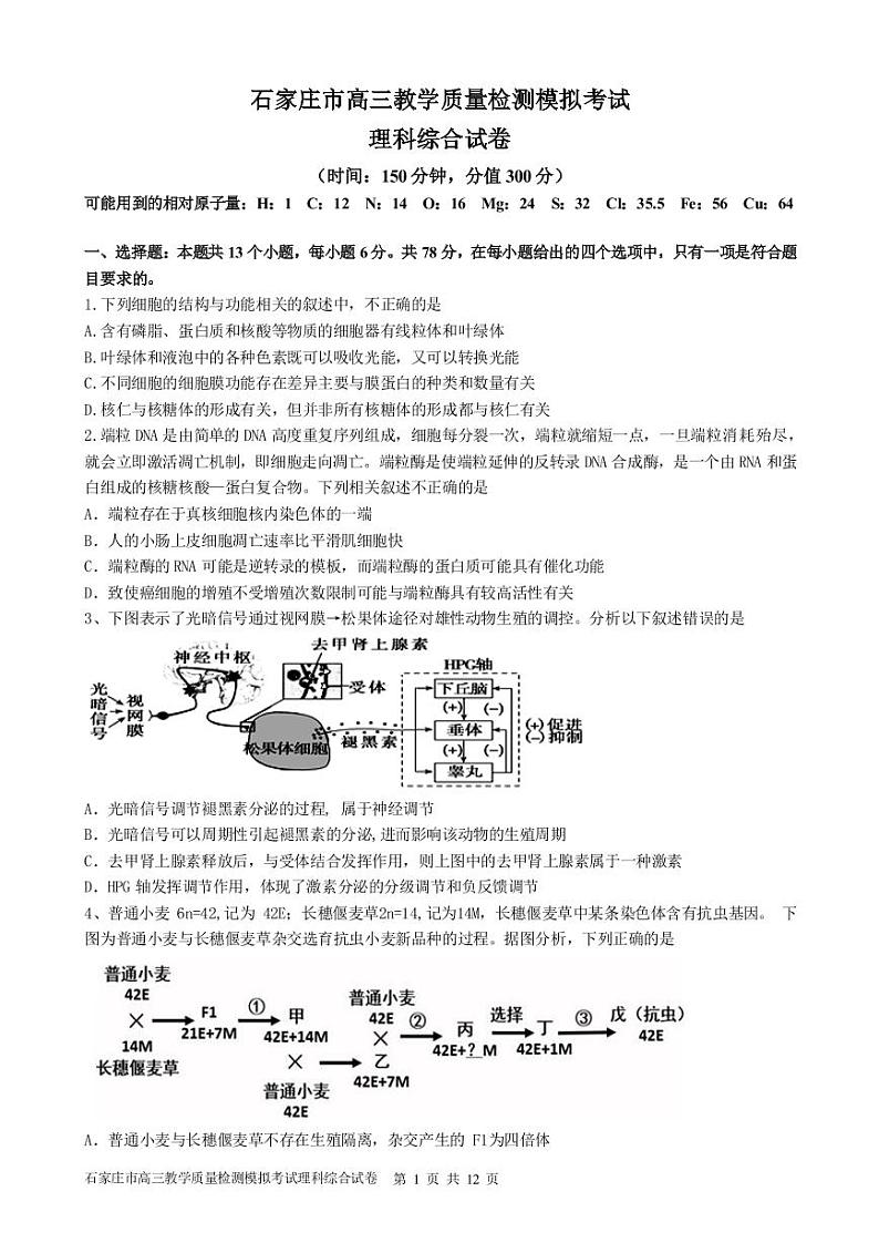 2020届高三下河北省石家庄市第二中学教学质量检测-PDF版01