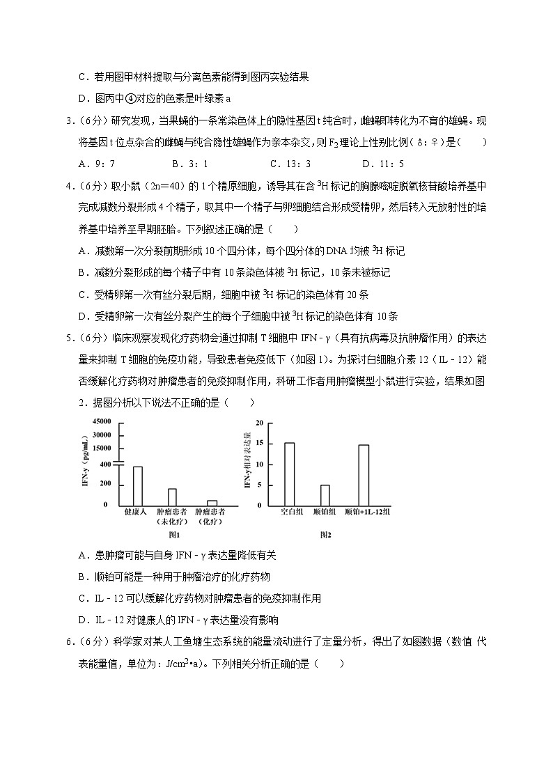 2020届-河南省鹤壁市高级中学-高三下学期线上第二次模拟考试 理科综合(word)02