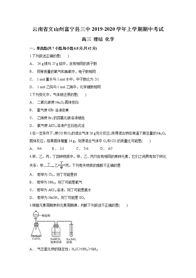 云南省文山州富宁县三中2020届高三上学期期中考试化学试题第1页