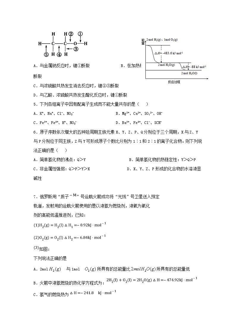 2018-2019学年四川省宜宾市叙州区第一中学高二下学期期中考试化学试题 Word版第2页