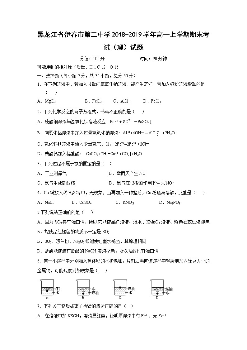 【化学】黑龙江省伊春市第二中学2018-2019学年高一上学期期末考试（理）试题01