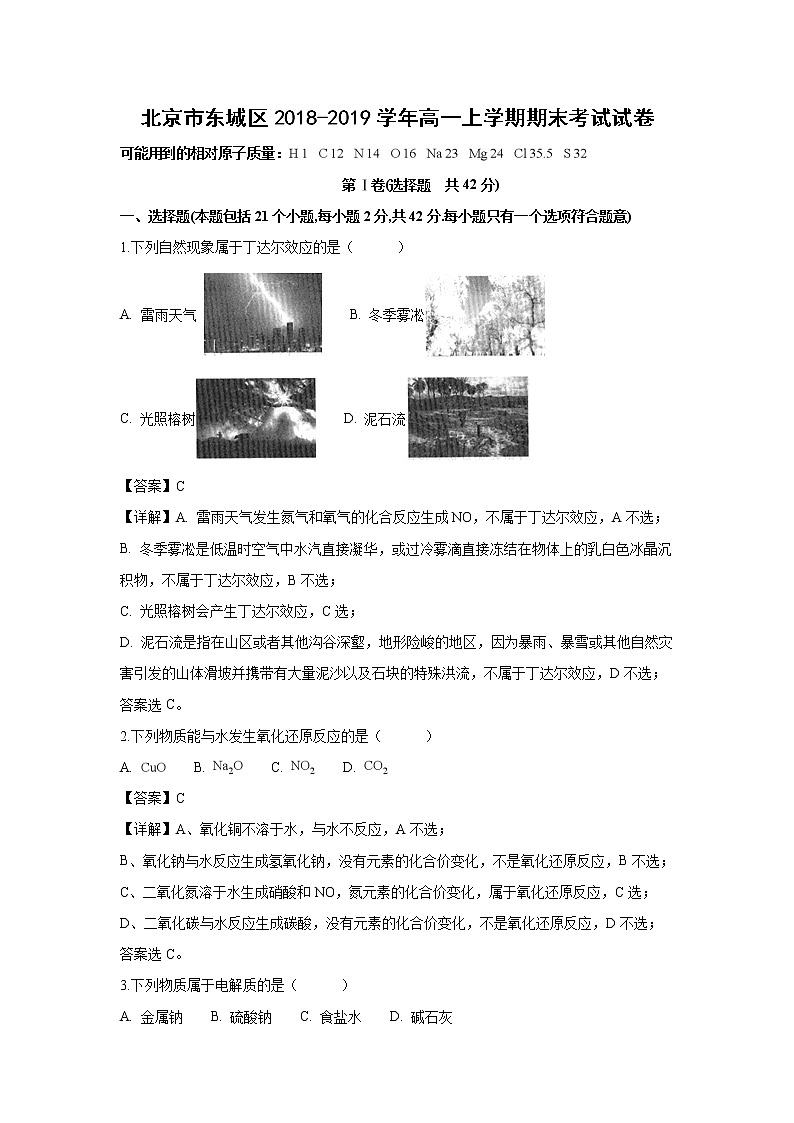 【化学】北京市东城区2018-2019学年高一上学期期末考试试卷（解析版）01