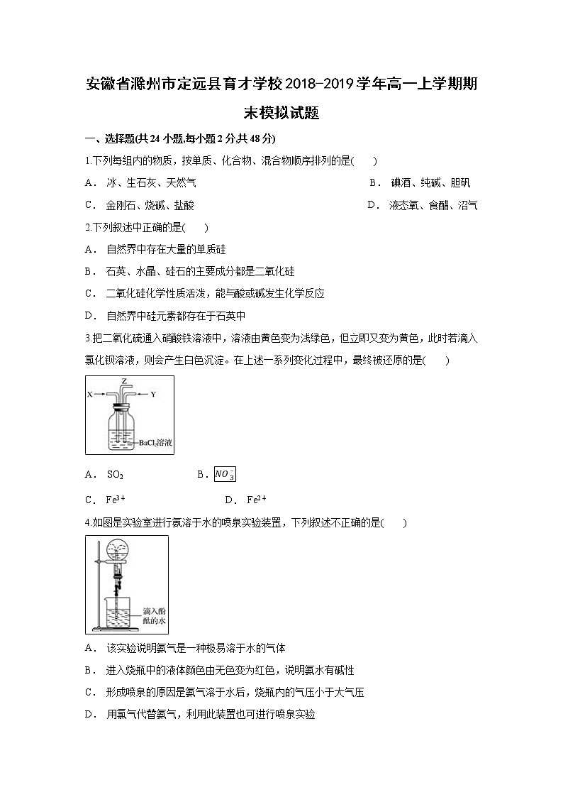 【化学】安徽省滁州市定远县育才学校2018-2019学年高一上学期期末模拟试题（解析版）01
