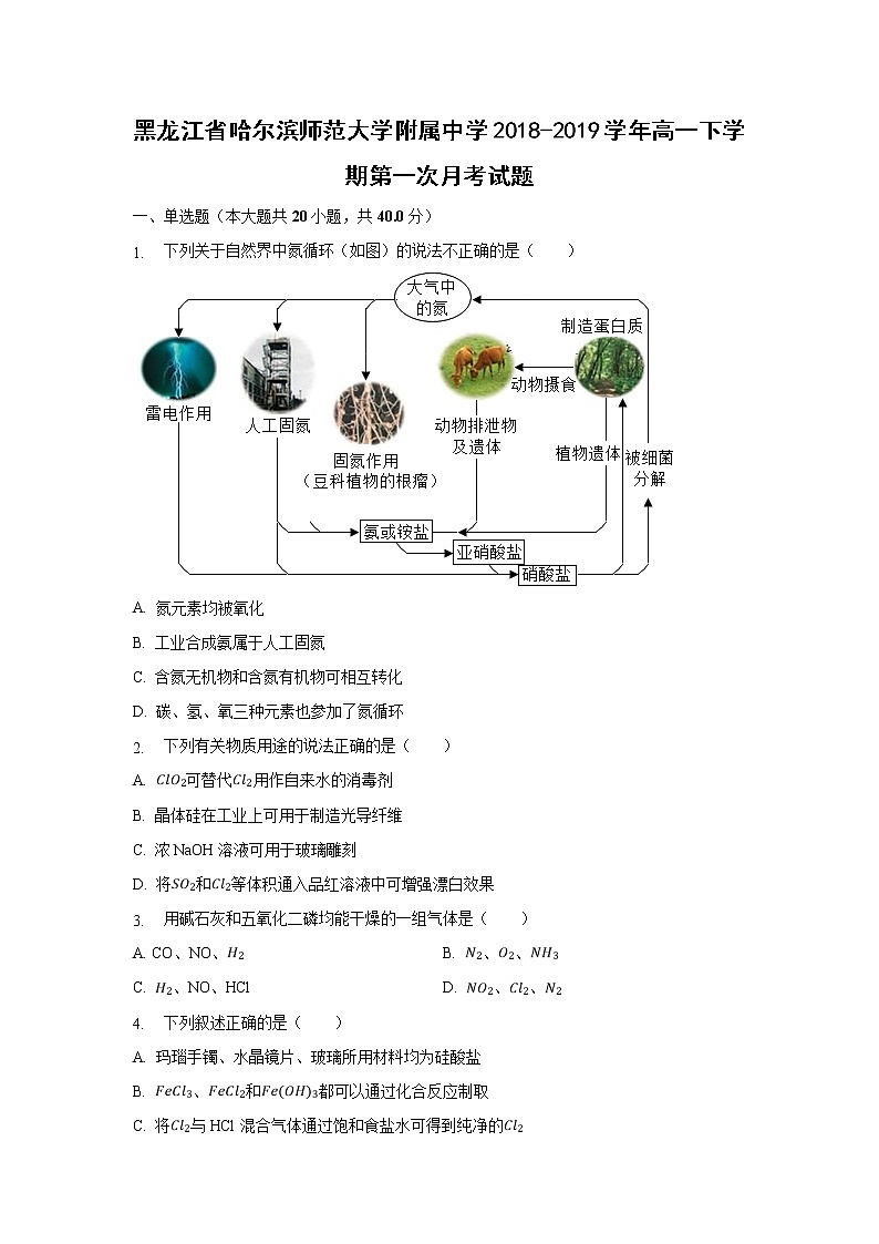 【化学】黑龙江省哈尔滨师范大学附属中学2018-2019学年高一下学期第一次月考试题（解析版）01