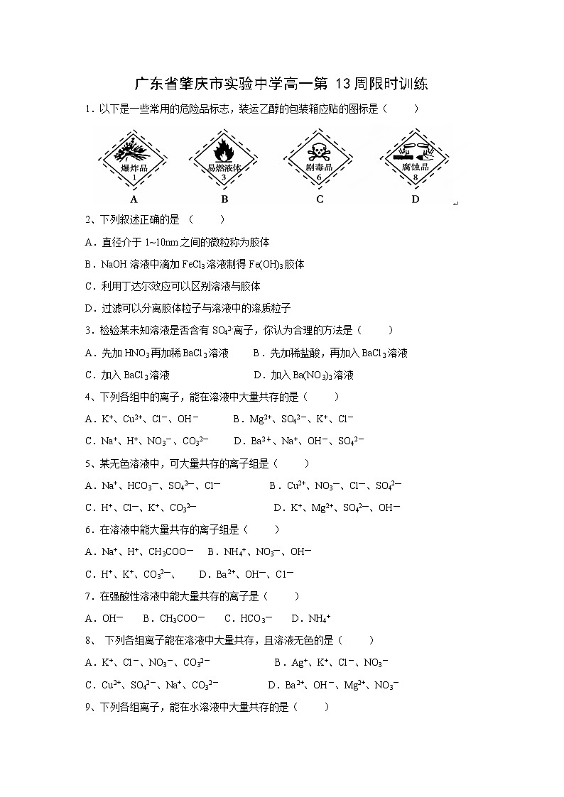 【化学】广东省肇庆市实验中学高一第13周限时训练第1页
