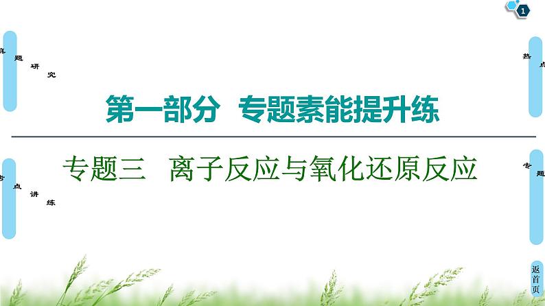 2020届高考化学二轮复习离子反应与氧化还原反应课件（106张）01