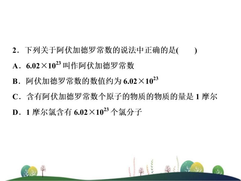 （新）人教版化学必修第一册课件：2.3 第1课时 物质的量的单位——摩尔08