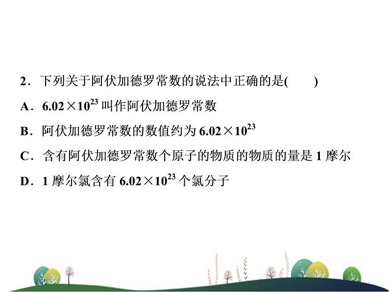 （新）人教版化学必修第一册课件：2.3 第1课时 物质的量的单位——摩尔08