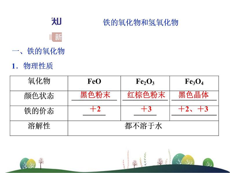 （新）人教版化学必修第一册课件：3.1 第2课时 铁的重要化合物04