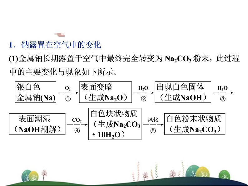 （新）人教版化学必修第一册课件：2.1 第1课时 活泼的金属单质——钠07