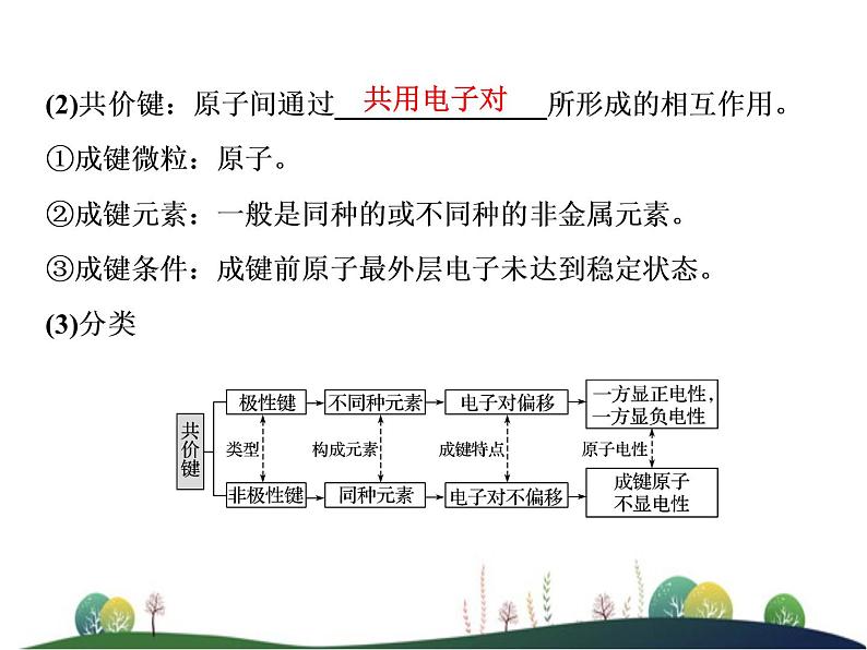 （新）人教版化学必修第一册课件：1.2 第2课时 共价键05