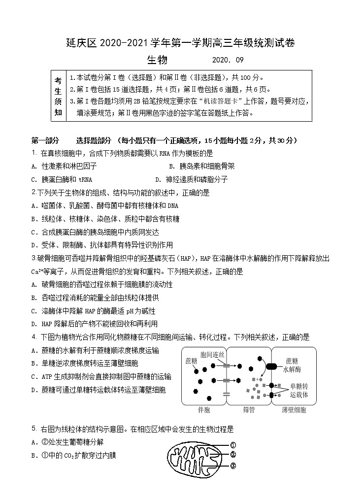北京市延庆区2021届高三上学期统测（9月）考试 生物（含答案）第1页