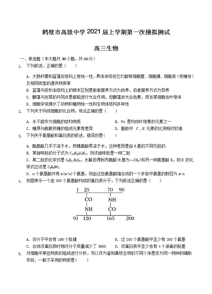 河南省鹤壁市高级中学2021届高三上学期第一次模拟测试 生物（含答案）01