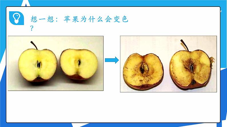 人教版高一化学  必修一 2.3.1 氧化还原反应 课件03