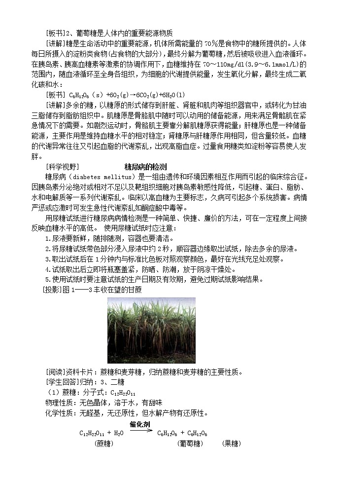 选修1第一章第一节 生命的基础能源---糖类2.1第3页