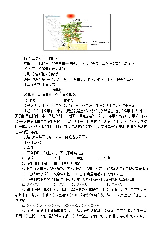 选修1第一章第一节 生命的基础能源---糖类2.2 教案02
