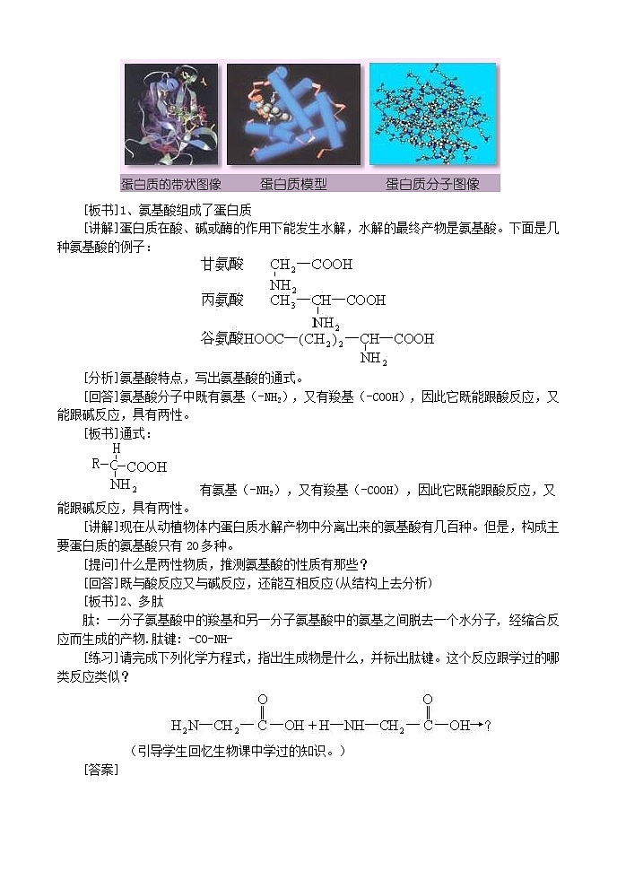 选修1第一章第三节 生命的基础—蛋白质2.1第2页