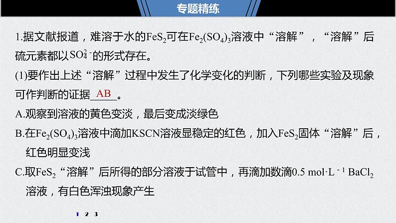 2021高考化学一轮复习 第三章 专题突破11 如何面对铁三角的综合实验题03