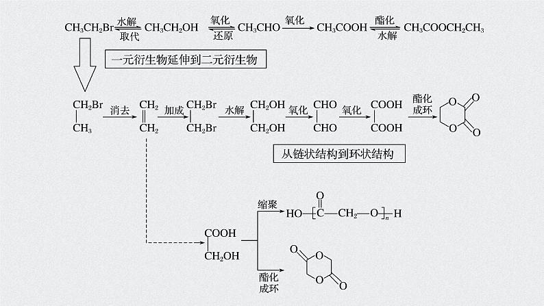 2021高考化学一轮复习 第十章 本章重要有机物之间的转化关系第3页