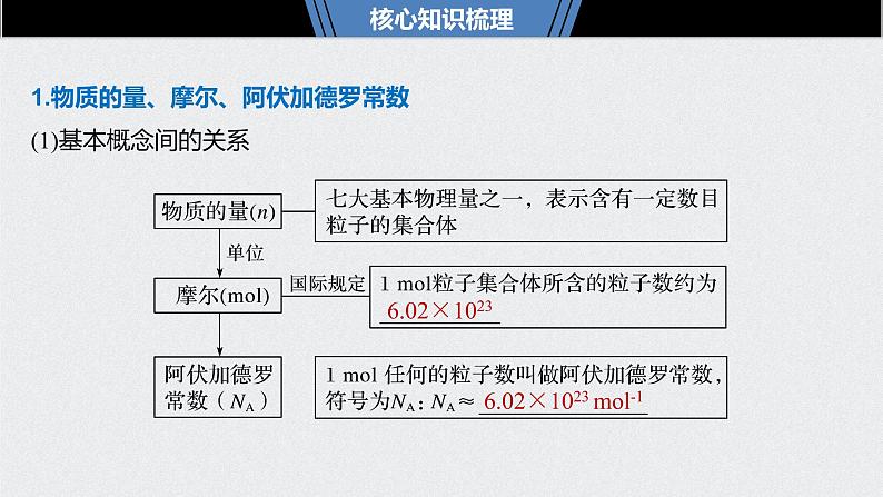 2021高考化学一轮复习 第一章 2021高考化学一轮复习 第3讲 物质的量气体摩尔体积 课件05