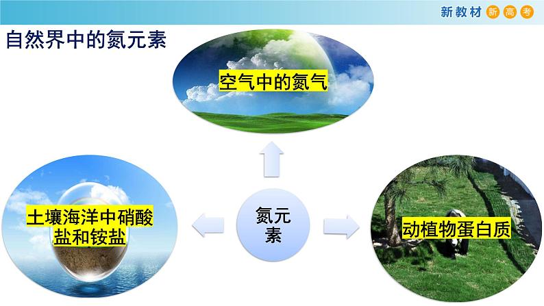 化学新教材 人教版高中化学必修第二册5.2.1 氮气与氮的固定 一氧化氮和二氧化氮 课件（2）05