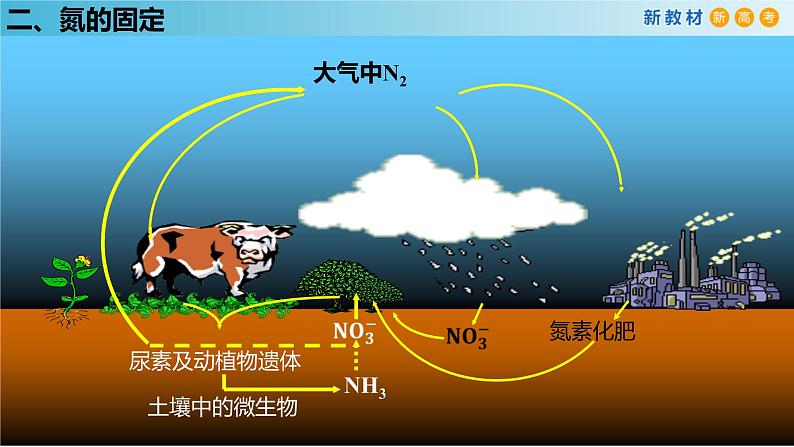 化学新教材 人教版高中化学必修第二册5.2.1 氮气与氮的固定 一氧化氮和二氧化氮 课件08