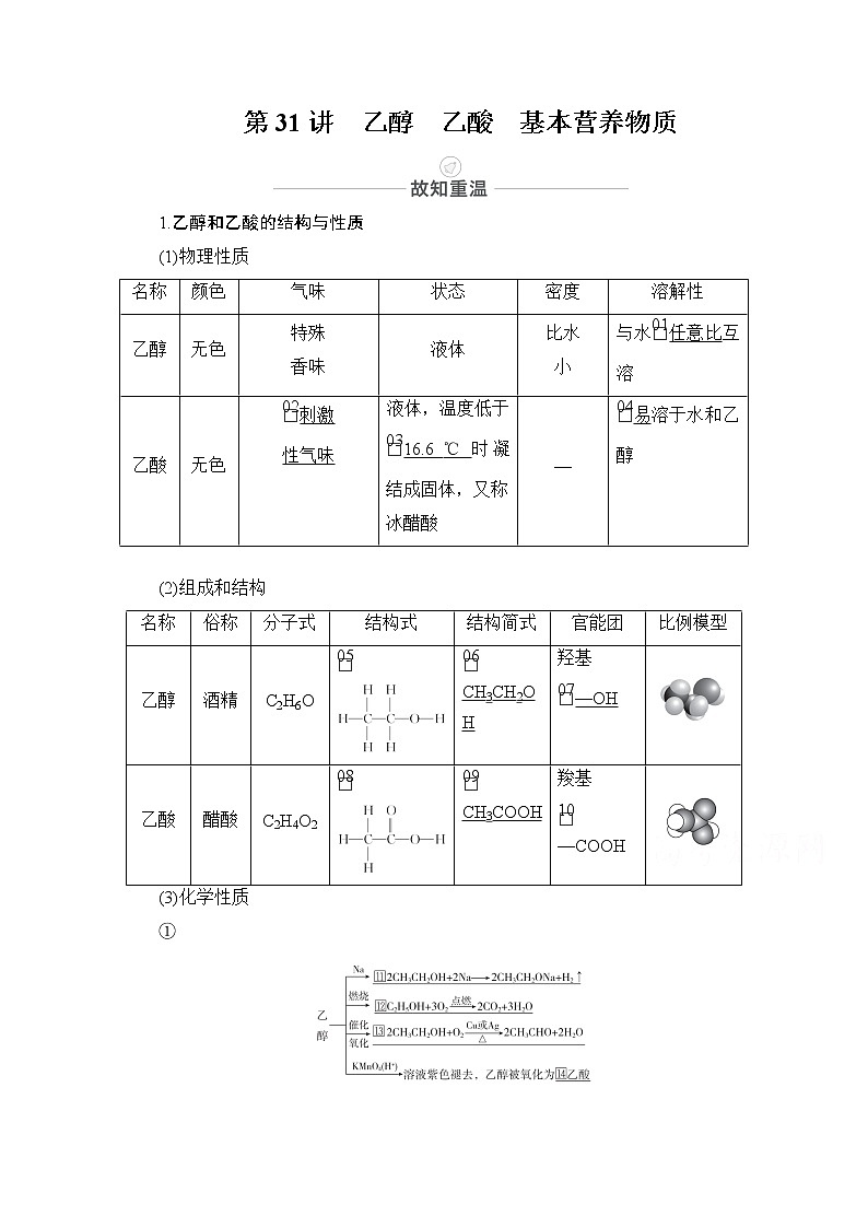 2021届高考化学人教版一轮创新教学案：第10章第31讲乙醇　乙酸　基本营养物质第1页