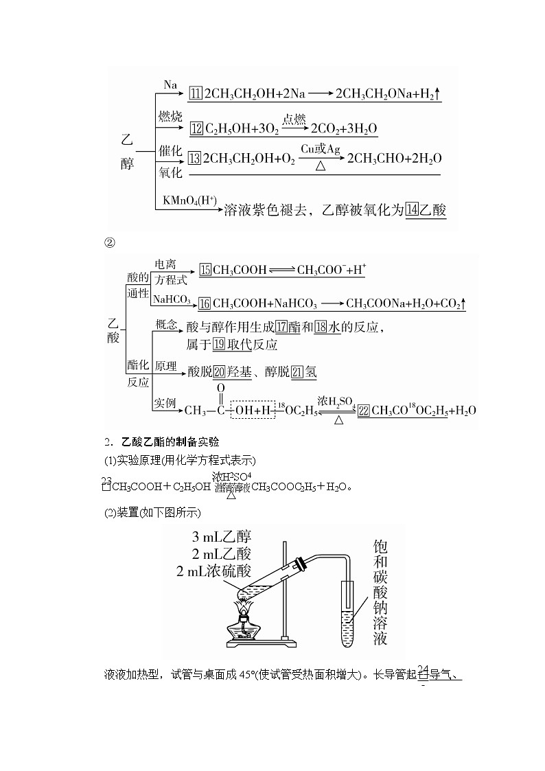 2020年高考化学一轮总复习文档：第十章第31讲乙醇乙酸基本营养物质 学案02