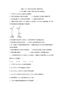 高中化学第二章 海水中的重要元素——钠和氯第一节 钠及其化合物优秀习题