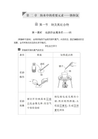 高中化学人教版 (2019)必修 第一册第一节 钠及其化合物第一课时学案及答案