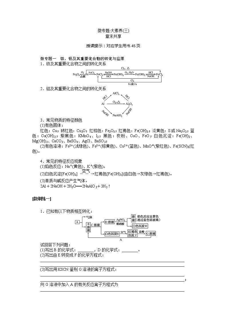 2019-2020学年新教材素养突破人教版化学必修第一册讲义：第三章铁金属材料微专题大素养（三）01