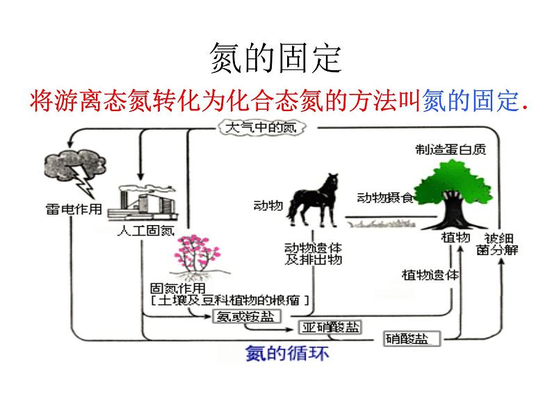 高中人教版化学选修2课件：第1单元 课题2 人工固氮技术──合成氨课件（17张ppt）04