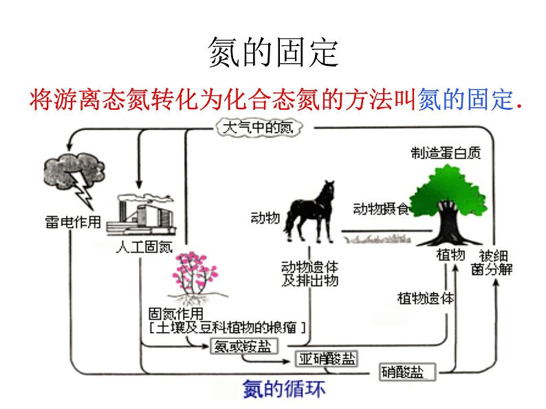 高中人教版化学选修2课件：第一单元 课题2人工固氮技术—合成氨（共12张ppt）第2页