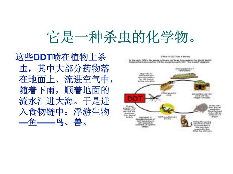 高中人教版化学选修2课件：第四单元课题1 化肥与农药（共18张ppt）08