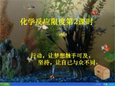 高中化学课件必修二《第二章 第三节 化学反应限度》