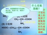 高中化学 1.3《生命的基础—蛋白质》课件 新人教版选修1