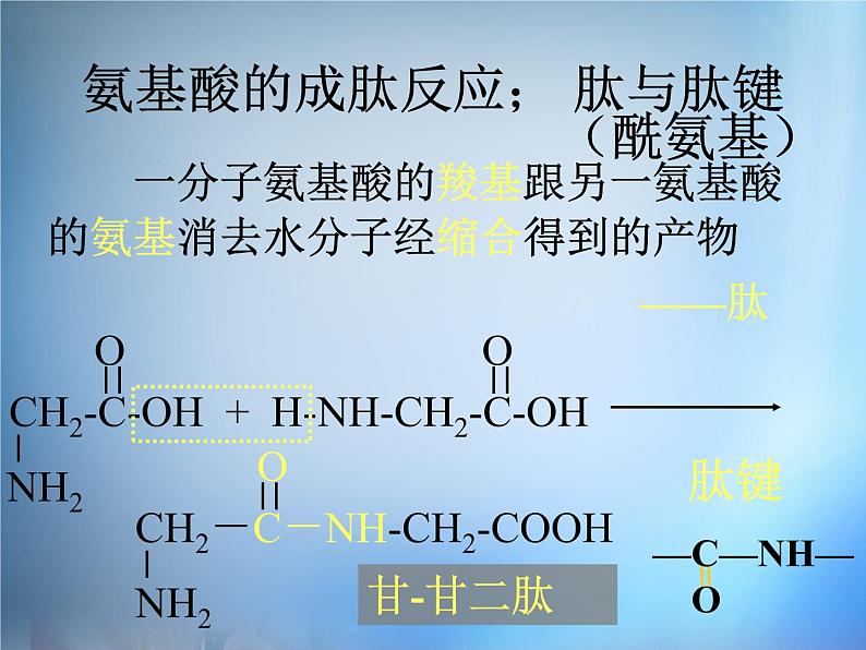 高中化学 1.3《生命的基础—蛋白质》课件 新人教版选修1第8页