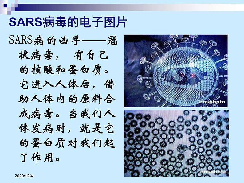 高二人教版化学选修一课件：1.3生命的基础蛋白质（共70张PPT）第6页