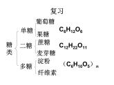 高中人教版化学选修1课件：第1章 第一节 生命的基础能源－糖类21张ppt