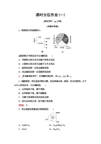 人教版 (2019)必修 第一册第一节 物质的分类及转化当堂达标检测题