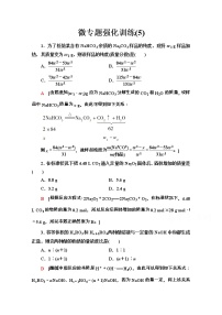 2020-2021学年化学新教材人教必修第一册微专题强化训练5　化学计算中的常见方法