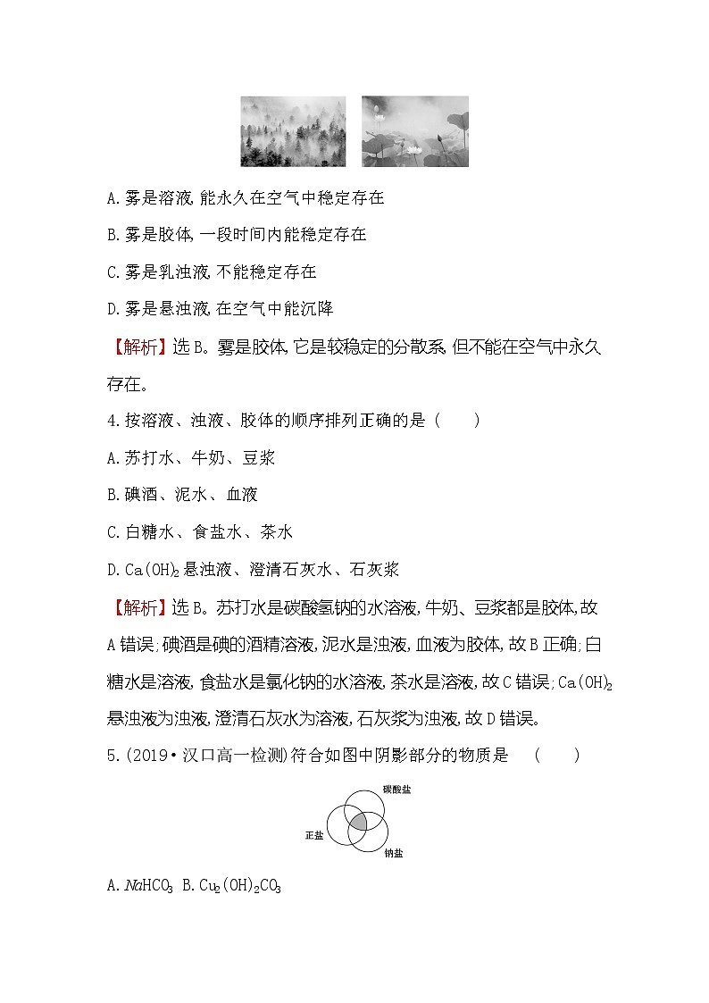 2019-2020新教材人教版化学新素养导学必修一课堂检测·素养达标 1.1.1物质的分类02