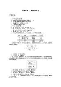 人教版 (2019)必修 第一册第一节 物质的分类及转化精练