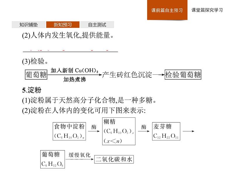 2019-2020学年新鲁科版必修2第3章　第3节　第3课时　糖类、油脂和蛋白质课件（42张）08
