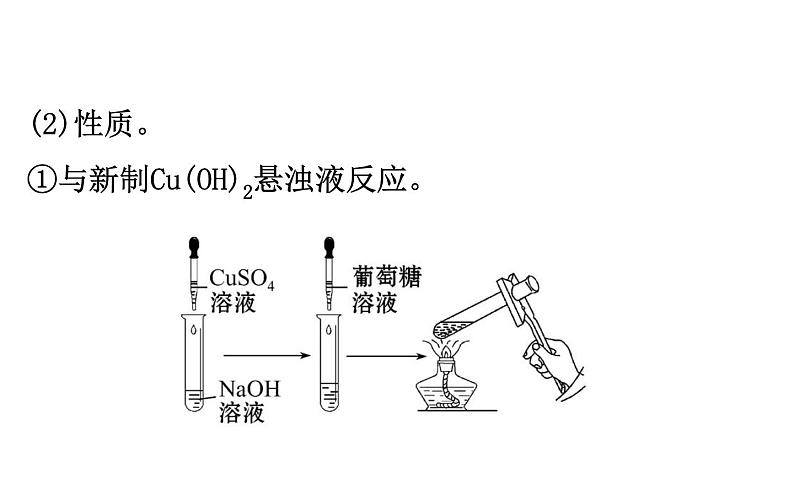 2019-2020学年新鲁科版必修2：3.3.3糖类油脂课件（69张）07